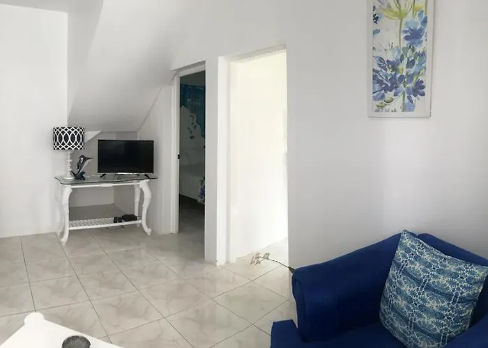 Michelle'S Tropical Splash Guest house *